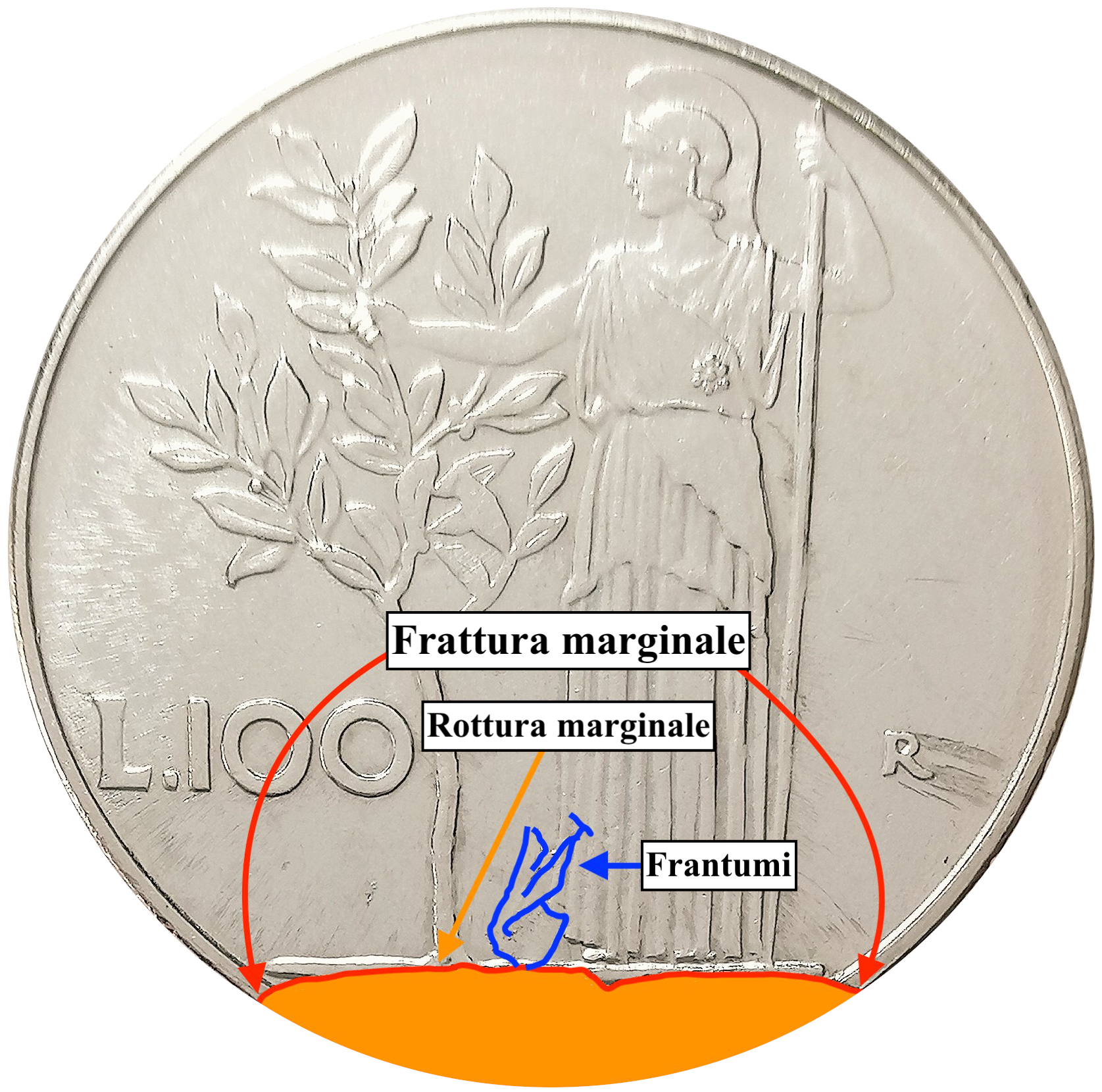 sena coins